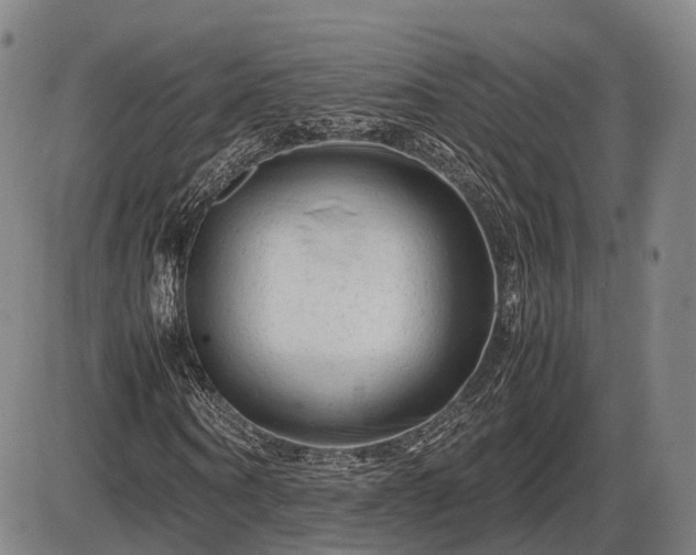 X0000086060866200703301038