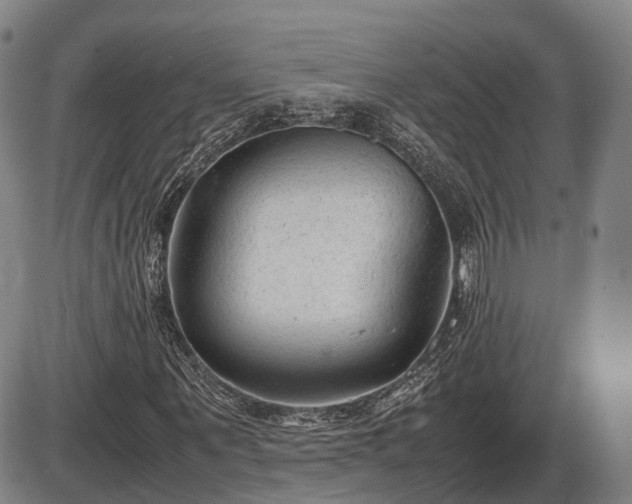 X0000086060867200703301038