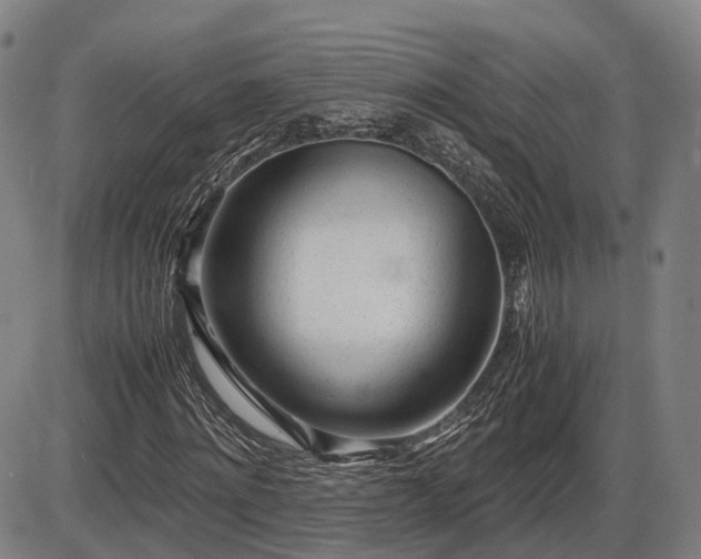 X0000086060868200703301038