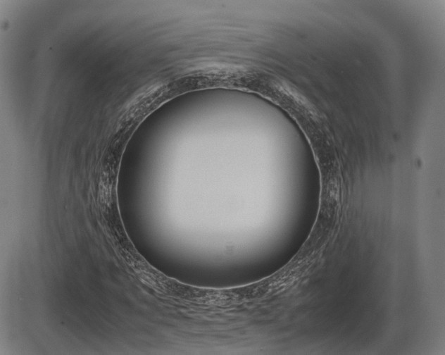 X0000086060869200703301038