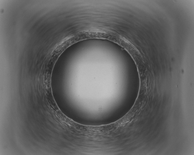 X0000086060870200703301038