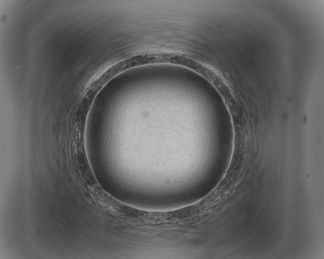 X0000086060871200703301038