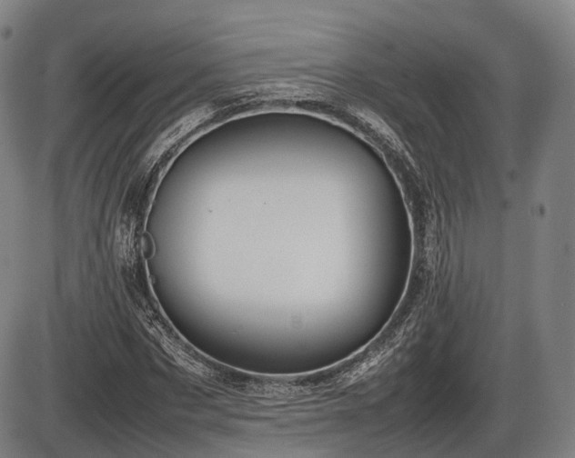 X0000086060873200703301038