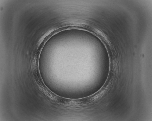 X0000086060875200703301038