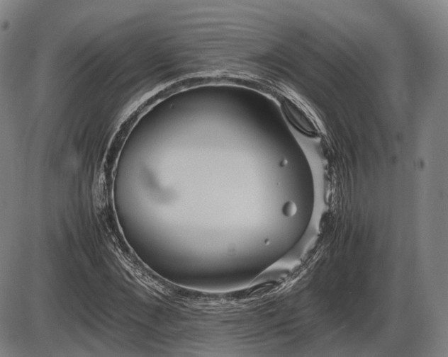 X0000086060876200703301038