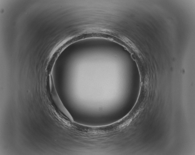 X0000086060877200703301038