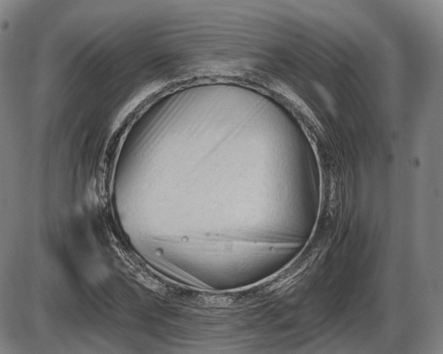 X0000086060878200703301038