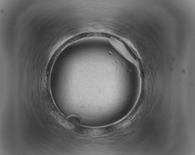 X0000086060879200703301038