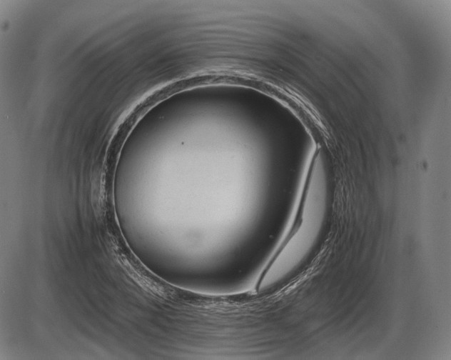 X0000086060880200703301038