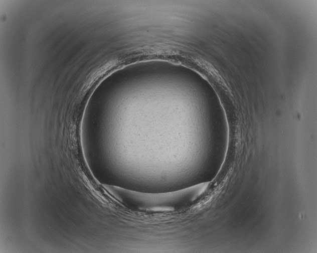 X0000086060881200703301038