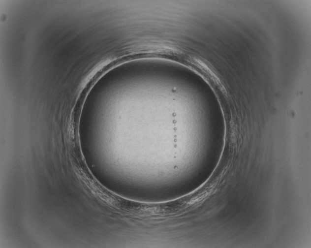 X0000086060883200703301038