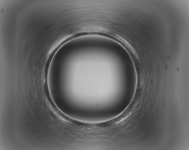 X0000086060885200703301038