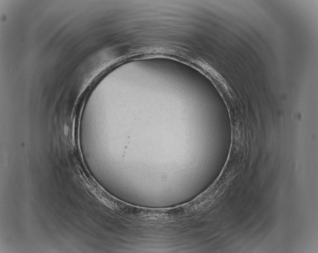 X0000086060886200703301038