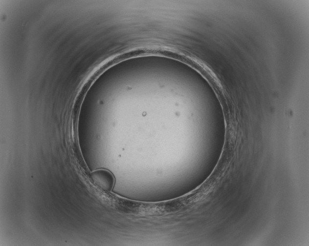 X0000086060887200703301038