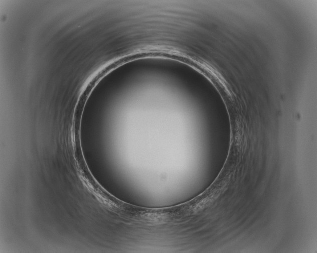 X0000086060888200703301038