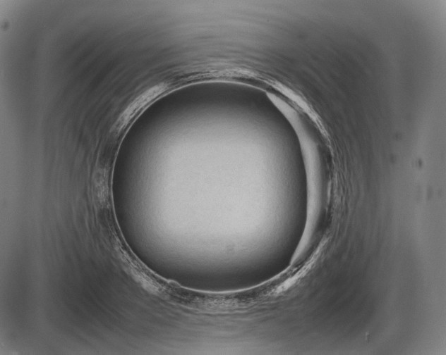 X0000086060889200703301038