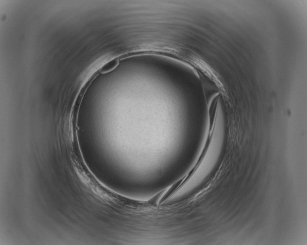 X0000086060892200703301038