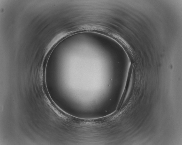 X0000086060894200703301038