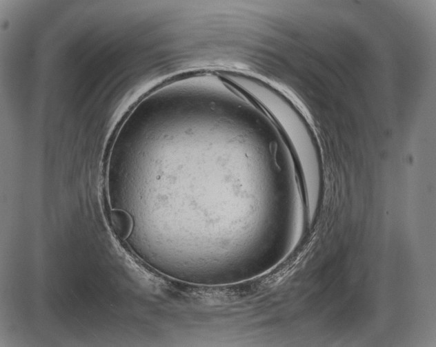 X0000086060895200703301038