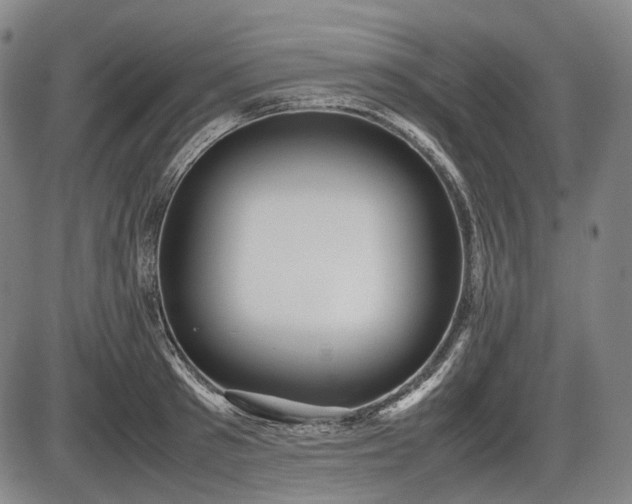 X0000086060897200703301038