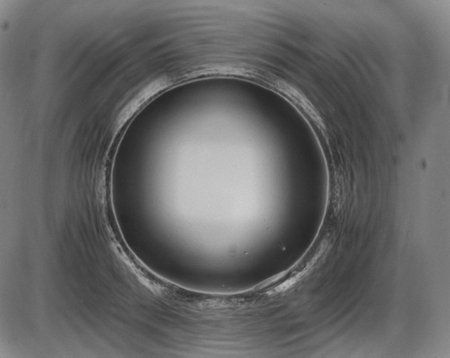 X0000086060898200703301038