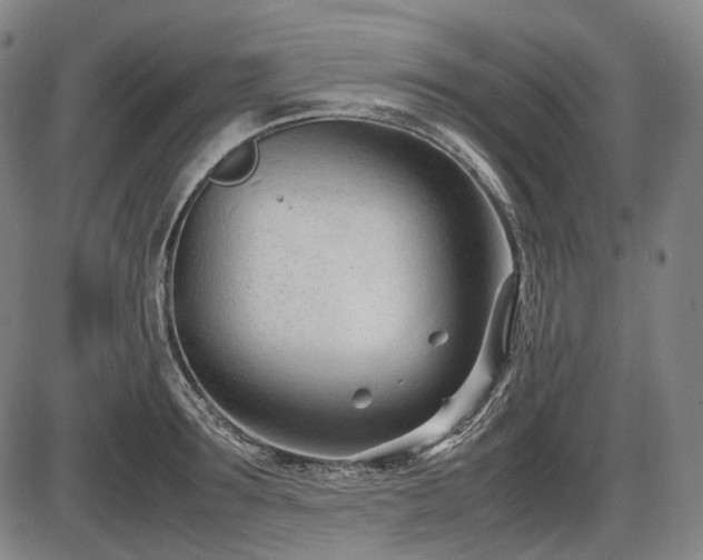 X0000086060899200703301038