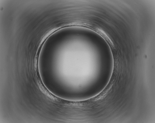 X0000086060900200703301038