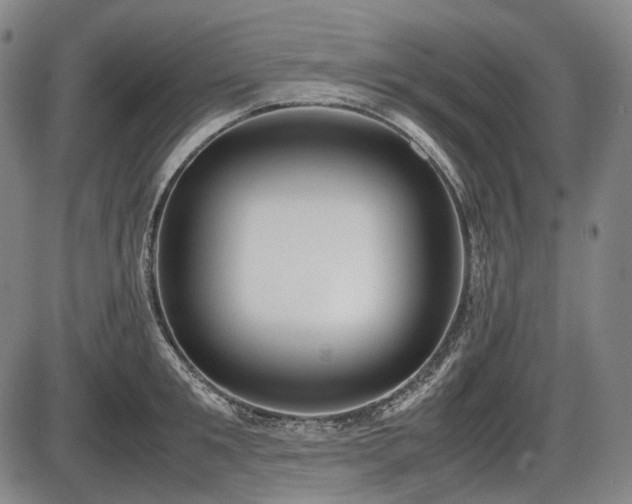 X0000086060901200703301038