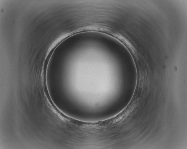 X0000086060902200703301038