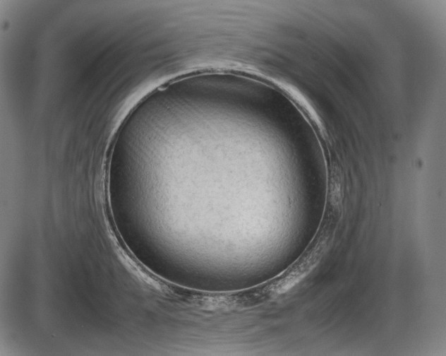 X0000086060903200703301038