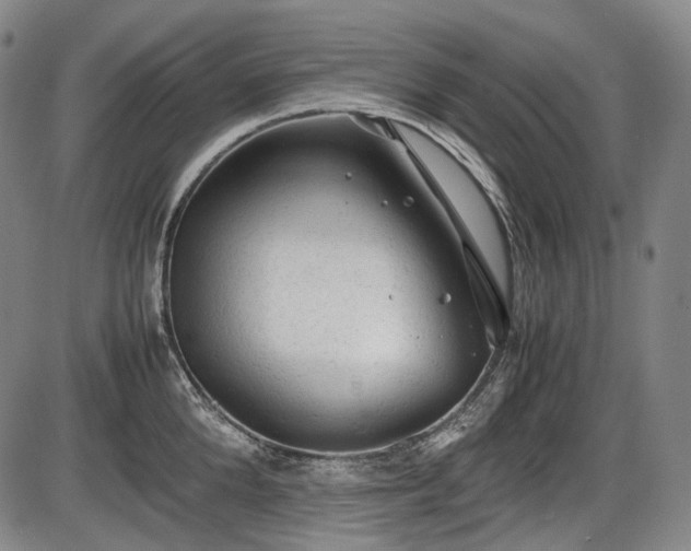 X0000086060904200703301038