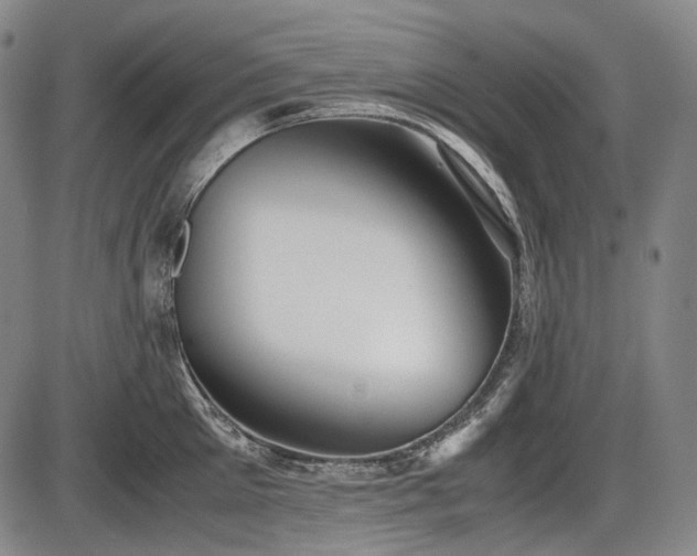 X0000086060905200703301038