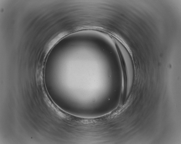 X0000086060906200703301038