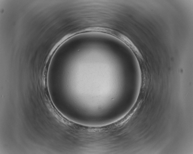 X0000086060908200703301037