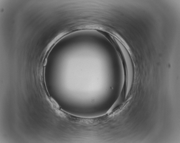 X0000086060909200703301037