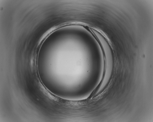 X0000086060910200703301037