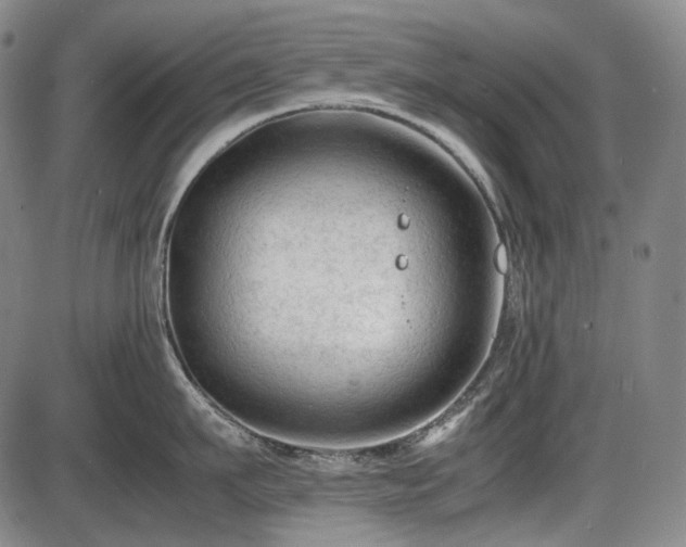 X0000086060911200703301037