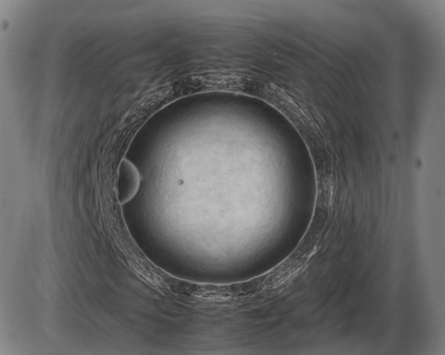 X0000086060913200703301037