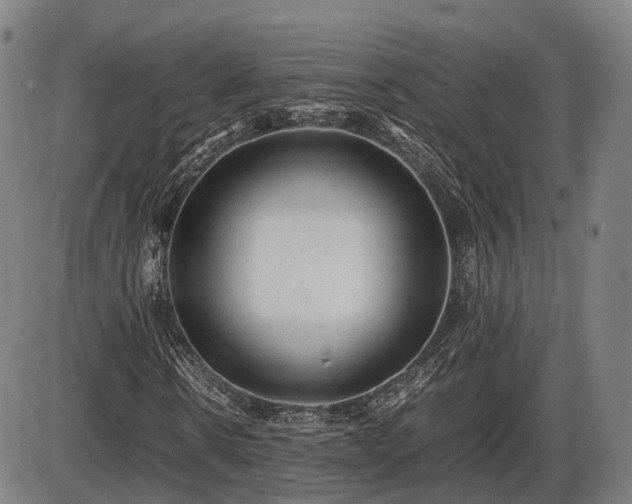 X0000086060914200703301037