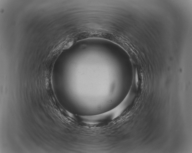 X0000086060916200703301037