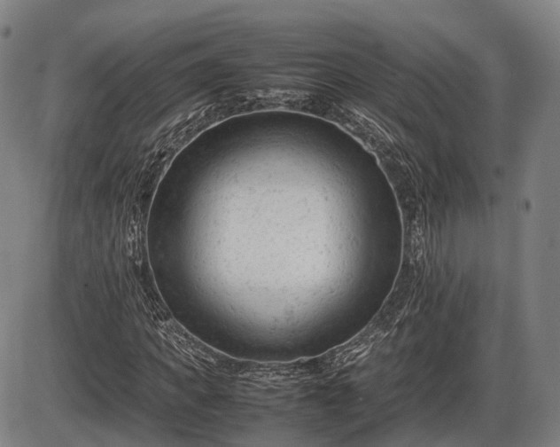 X0000086060917200703301037