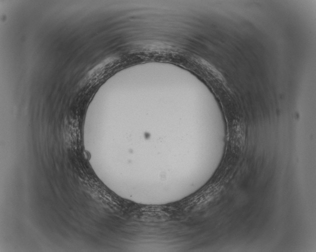 X0000086060918200703301037