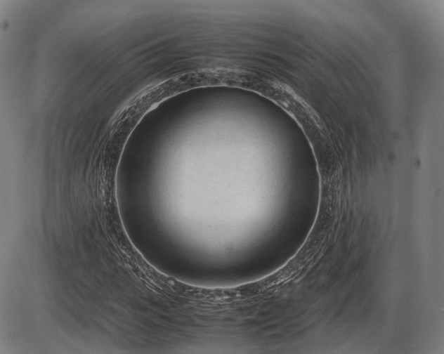 X0000086060919200703301037