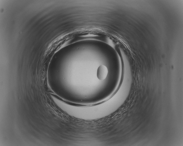 X0000086060920200703301037