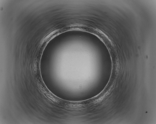 X0000086060921200703301037