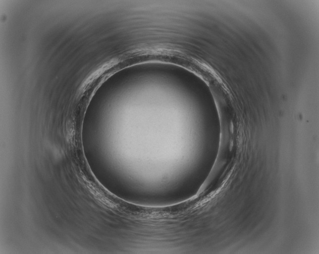 X0000086060922200703301037