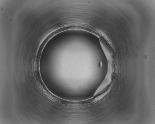 X0000086060924200703301037