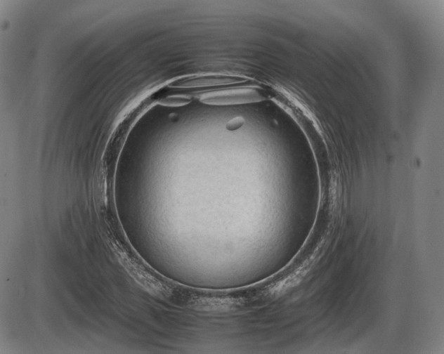 X0000086060925200703301037