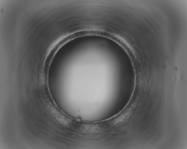 X0000086060927200703301037