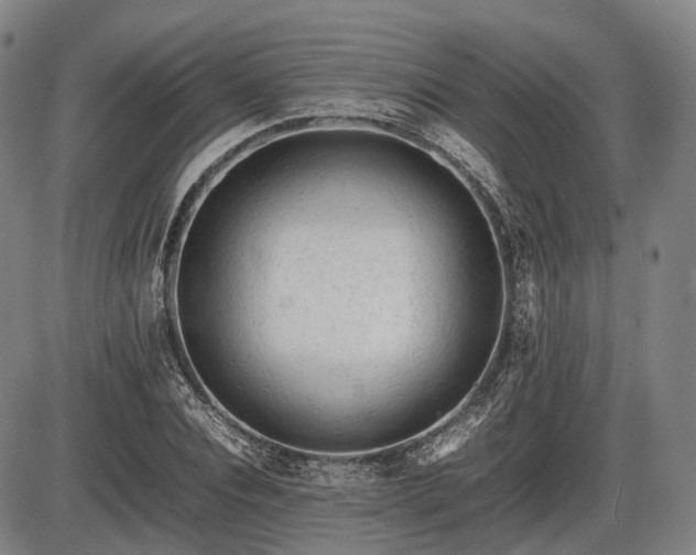 X0000086060928200703301037